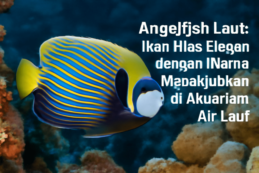 Angelfish Laut: Ikan Hias Elegan dengan Warna Menakjubkan di Akuarium Air Laut