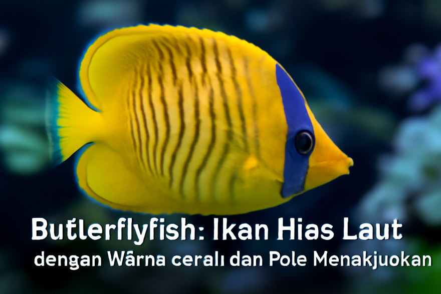 Butterflyfish: Ikan Hias Laut dengan Warna Cerah dan Pola Menakjubkan