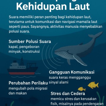Bagaimana Polusi Suara Mempengaruhi Kehidupan Laut