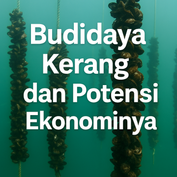 Budidaya Kerang dan Potensi Ekonominya