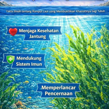 Ilustrasi animasi rumput laut hijau di perairan dangkal dengan sorotan manfaat kesehatan Judul Formal Clickbait: Fakta Ilmiah tentang Rumput Laut yang Membuktikan Khasiatnya bagi Tubuh