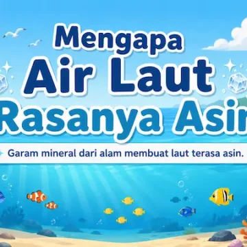 Mengapa Air Laut Rasanya Asin Ternyata Berasal dari Proses Alam yang Panjang “mengapa air laut asin melalui proses alami laut dan garam mineral”