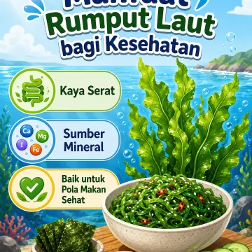 “manfaat rumput laut bagi kesehatan tubuh sebagai pangan bergizi dari laut”