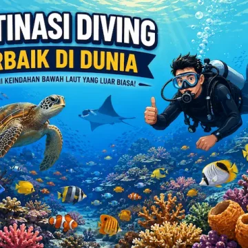 Destinasi Diving Terbaik di Dunia yang Menyimpan Keindahan Bawah Laut Luar Biasa destinasi diving terbaik di dunia dengan terumbu karang dan biota laut berwarna