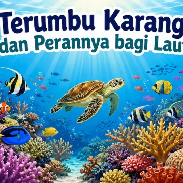 “terumbu karang sebagai rumah biota laut dalam ekosistem laut sehat”